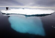 Photo of Гренландия приостанавливает разведку нефти из-за изменения климата