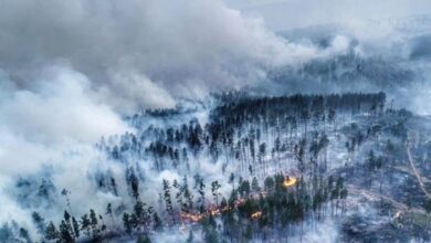 Photo of Пожары в Сибири стали источником рекордного загрязнения атмосферы