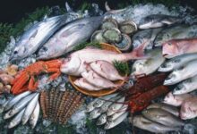 Photo of Цены на рыбу могут вырасти из-за повышения ставок сбора рыбодобывающих компаний