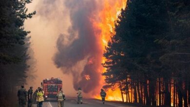 Photo of Общая площадь лесных пожаров в России выросла на 20% в 2021 году